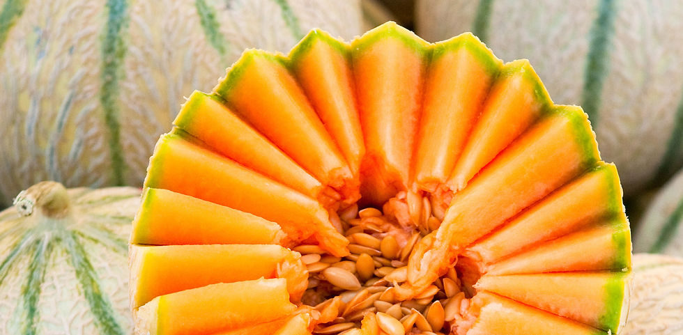 Thermomix® Impressum Anita Schmucki