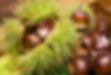 Thermomix® Tipps und Tricks Anita Schmucki
