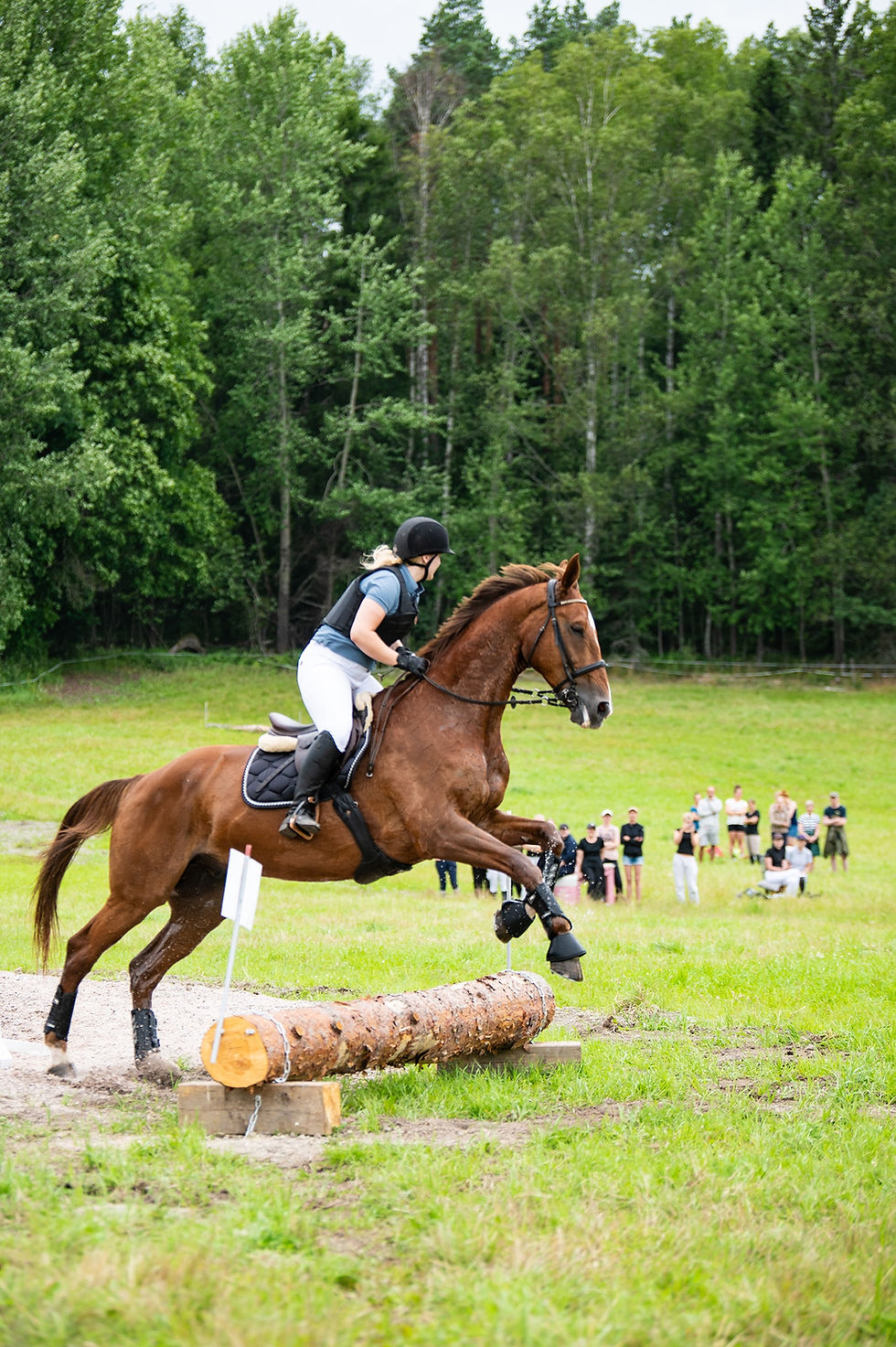 Happy Rider maastoesterata varattavissa Espoossa!
