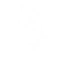 happyrider_pelkka_kuva.png