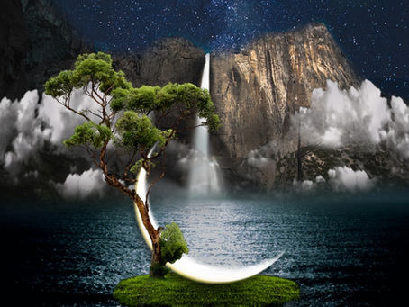 New Moon in sidereal Cancer July 28th...