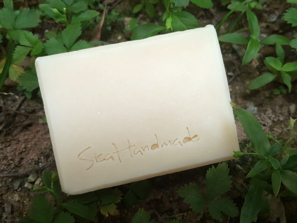 BB03h 椰奶幼兒皂 Coconut Milk Kid Soap