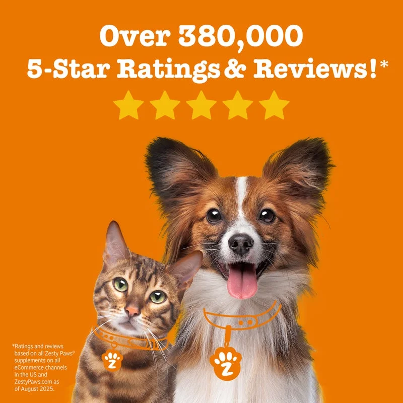 Thumbnail: Senior Advanced Probiotic Bites for Dogs, for Gut & Digestive Health, Chicken Fl