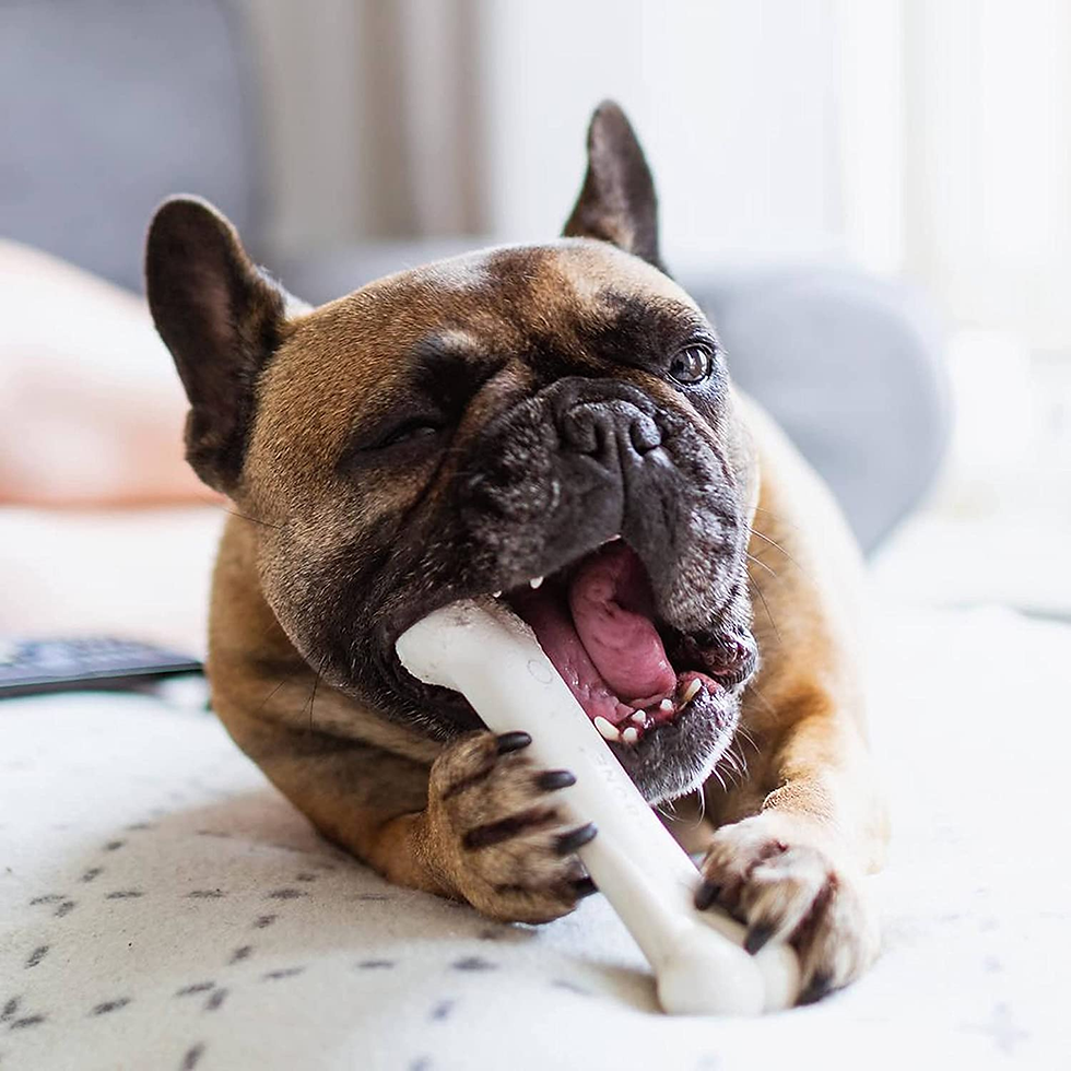 Thumbnail: Original Nylabone Power Chew Toy for Dogs, Durable Dog Toys for Aggressive Chewe