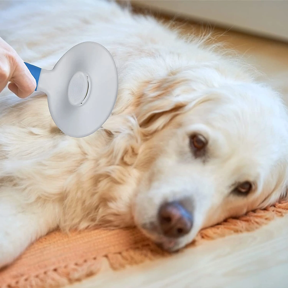 Thumbnail: Cat and Dog Brush, Self Cleaning Deshedding Tool for Undercoat, Mats, Knots, Fla