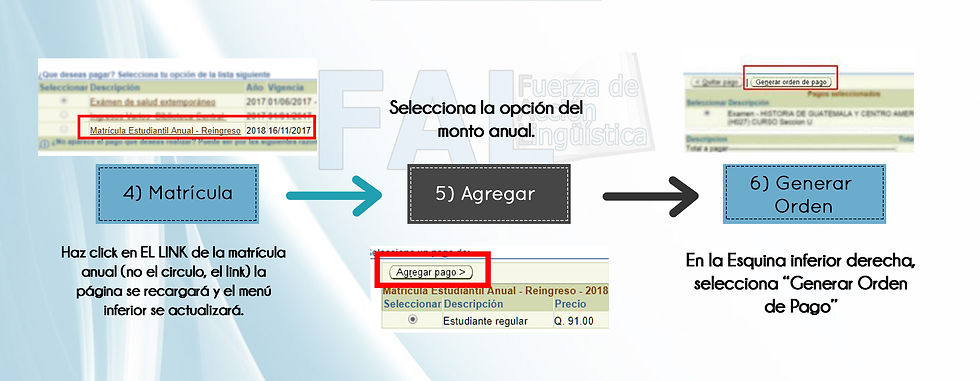 siguientes pasos