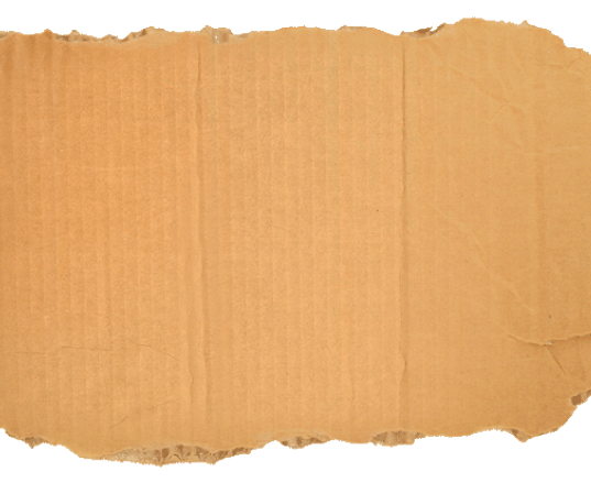 carton Ripped