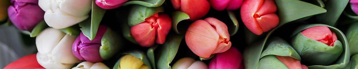 Fresh Buds