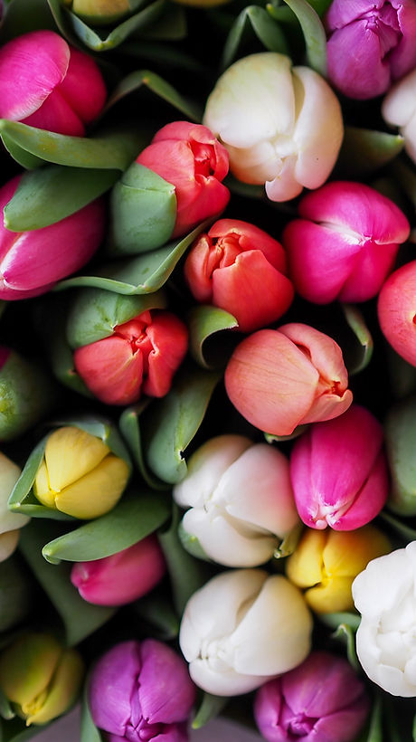 Fresh Buds