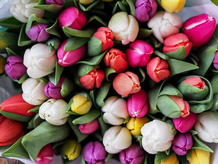 Fresh Buds