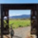 Stewart Fabrications designed and Fabricated Arch for Waikato River Trails