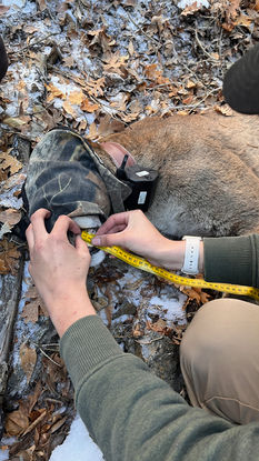 Data collection