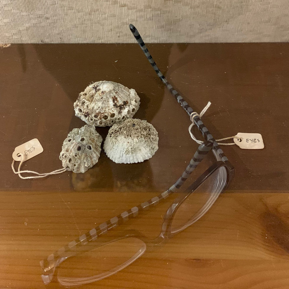 assemblage in Curiosity exhibition, Old Haa, Yell 