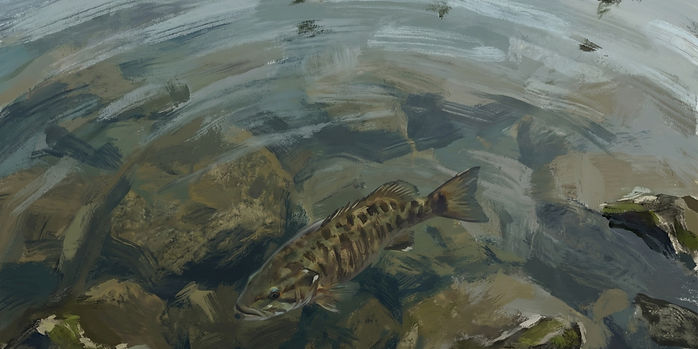 Betzy_waterpainting_fish_edited.jpg