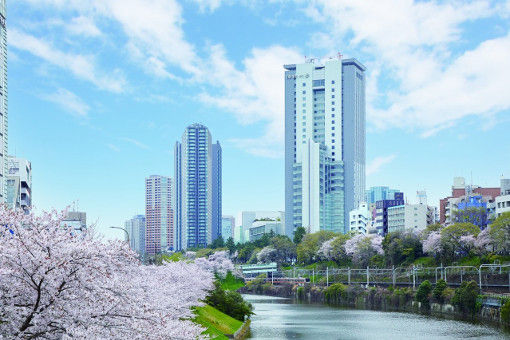 偏差値40台から法政大学に合格する方法 偏差値40台から法政大学に合格する方法