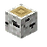 樺木小枝.png