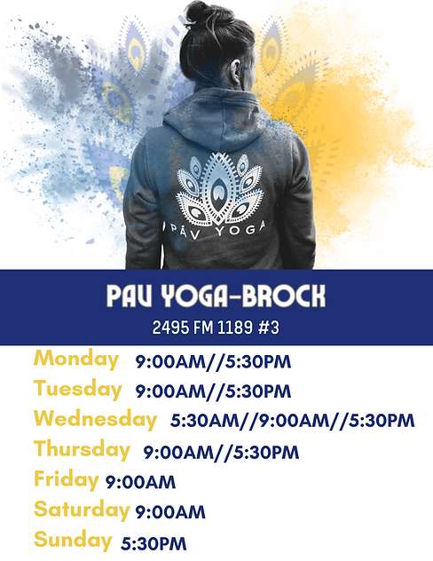 Brock Flyer 2025.png