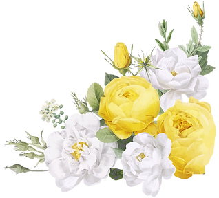 상단 꽃 장식+테두리 사귐.png