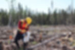 Restoring what’s been cut. Bill 5 threatens Indigenous stewardship on the ground.