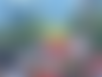 Ontario’s Bill 5, formally known as the Protecting Ontario by Enabling Economic Growth Act, 2025, introduces the power to create Special Economic Zones (SEZs) — areas where the Province can override environmental laws, Indigenous rights, and local governance to accelerate industrial development. At Wahkohtowin, we are deeply concerned by the scope and implications of this legislation. It poses a serious threat to Indigenous lands, cultures, and sovereignty — particularly in Northern Ontario.