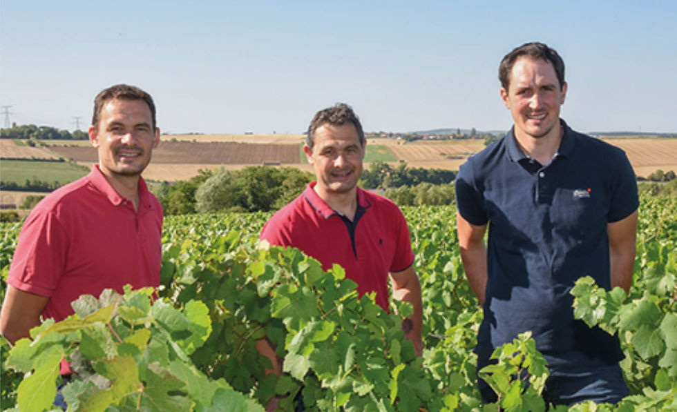 Christophe, Marc, & Yves among the vines at Domaine de Villargeau