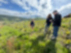 CBE31D87-B240-47A9-81E0-22E678024697_1_105_c.jpeg