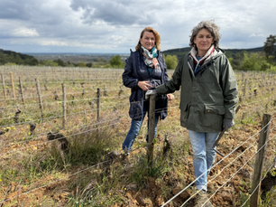 Winemaking sisters, Juliette and Caroline Chenu in Savigny-les-Beaune, Burgundy
