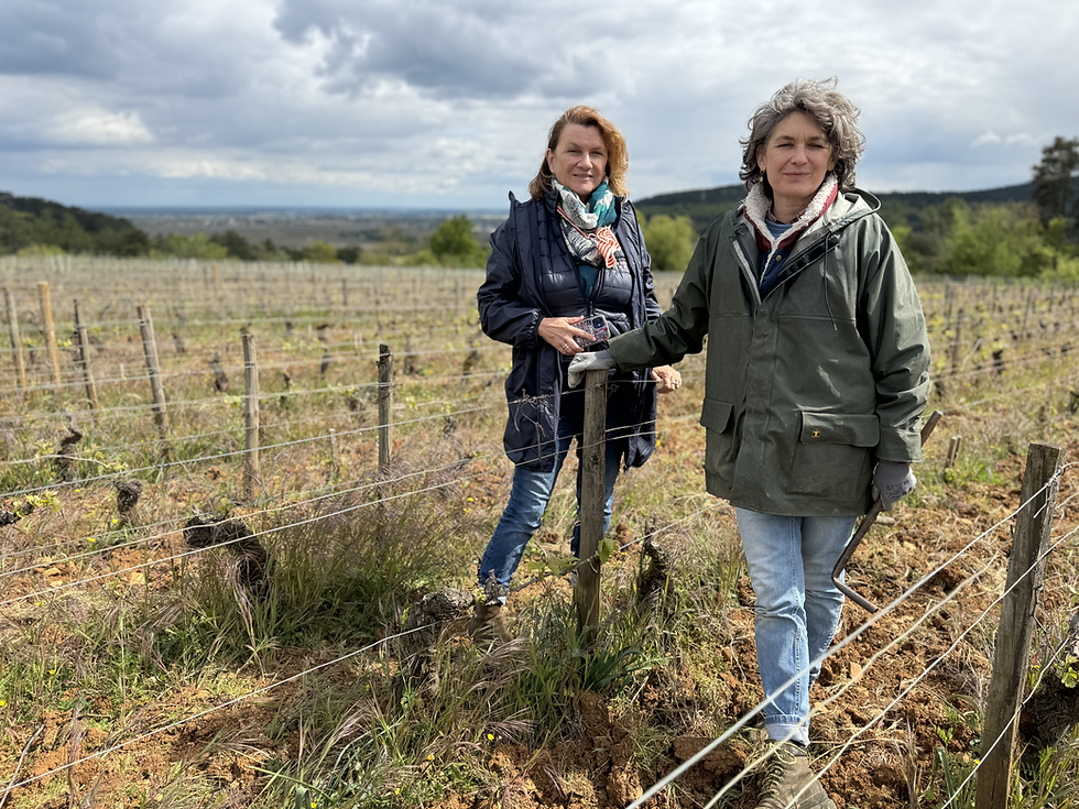 Juliette (L) and Caroline Chenu in the "Vielles Vignes" parcel at Louis Chenu Père et Filles. Photo: Damien Casten, 2024