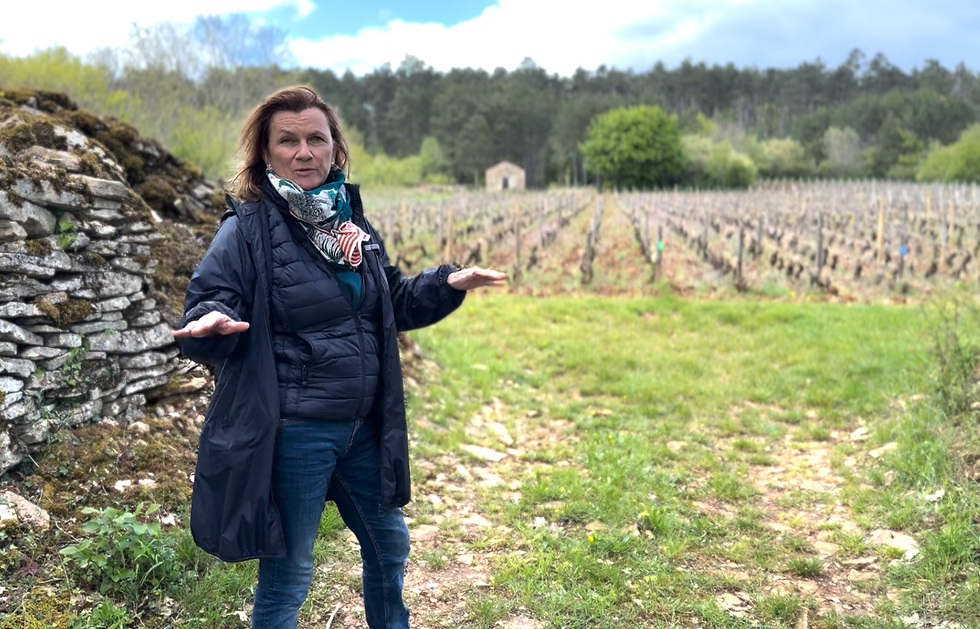 Juliette Chenu in a Pinot Noir vineyard in Savigny-les-Beaune