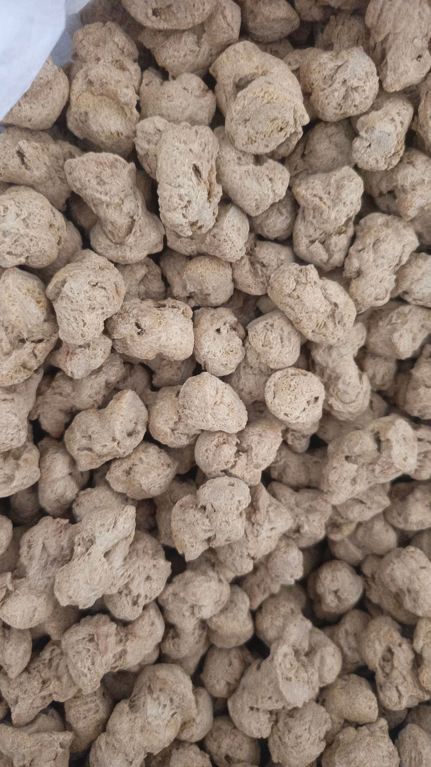 SOYA CHUNKS