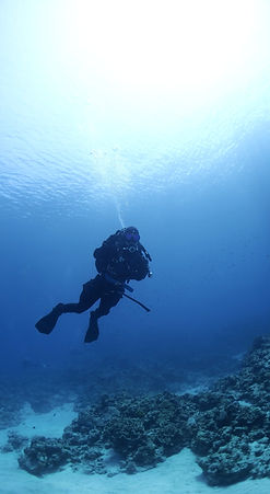 케라마제도 펀다이빙.