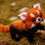 Thumbnail: Handmade Poseable Red Panda Art Doll