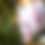 Thumbnail: Handmade Poseable Albino Bat Art Doll