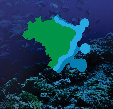 Blue Amazon