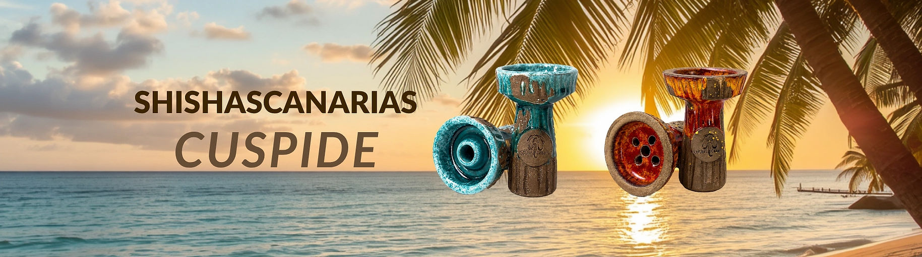 shishascanarias cuspide