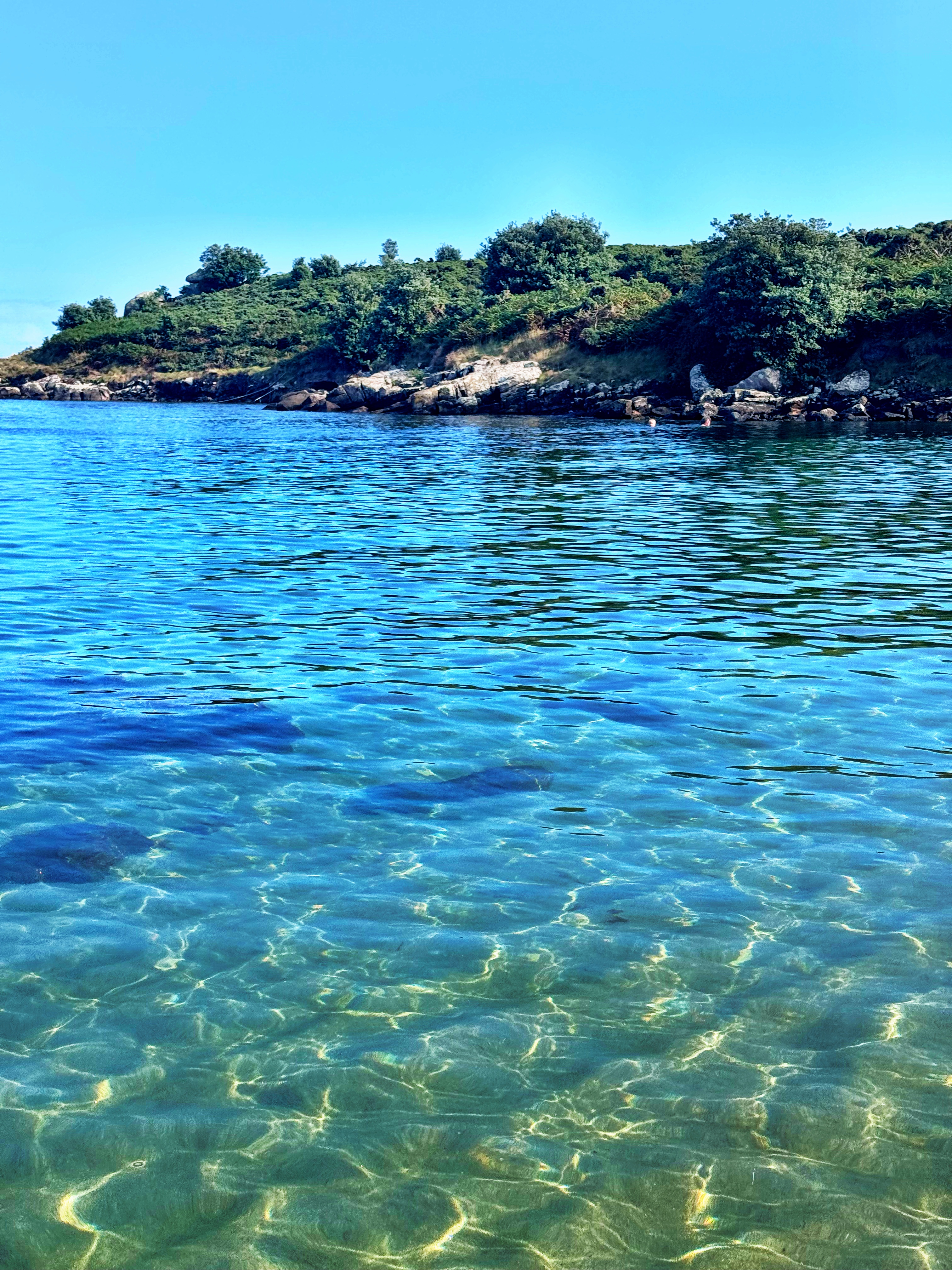 Calm Cove photo 3