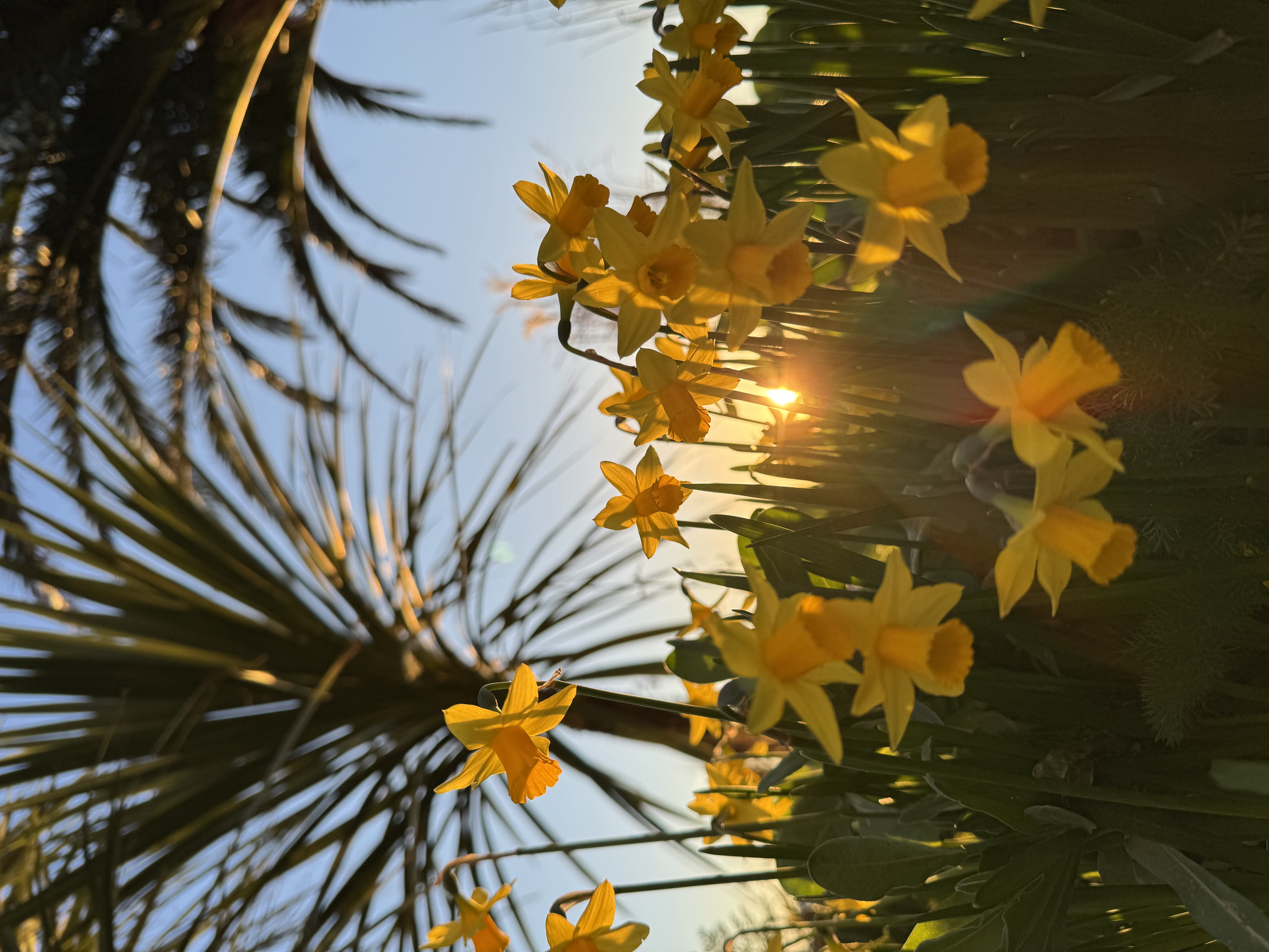 Springtime photo 4