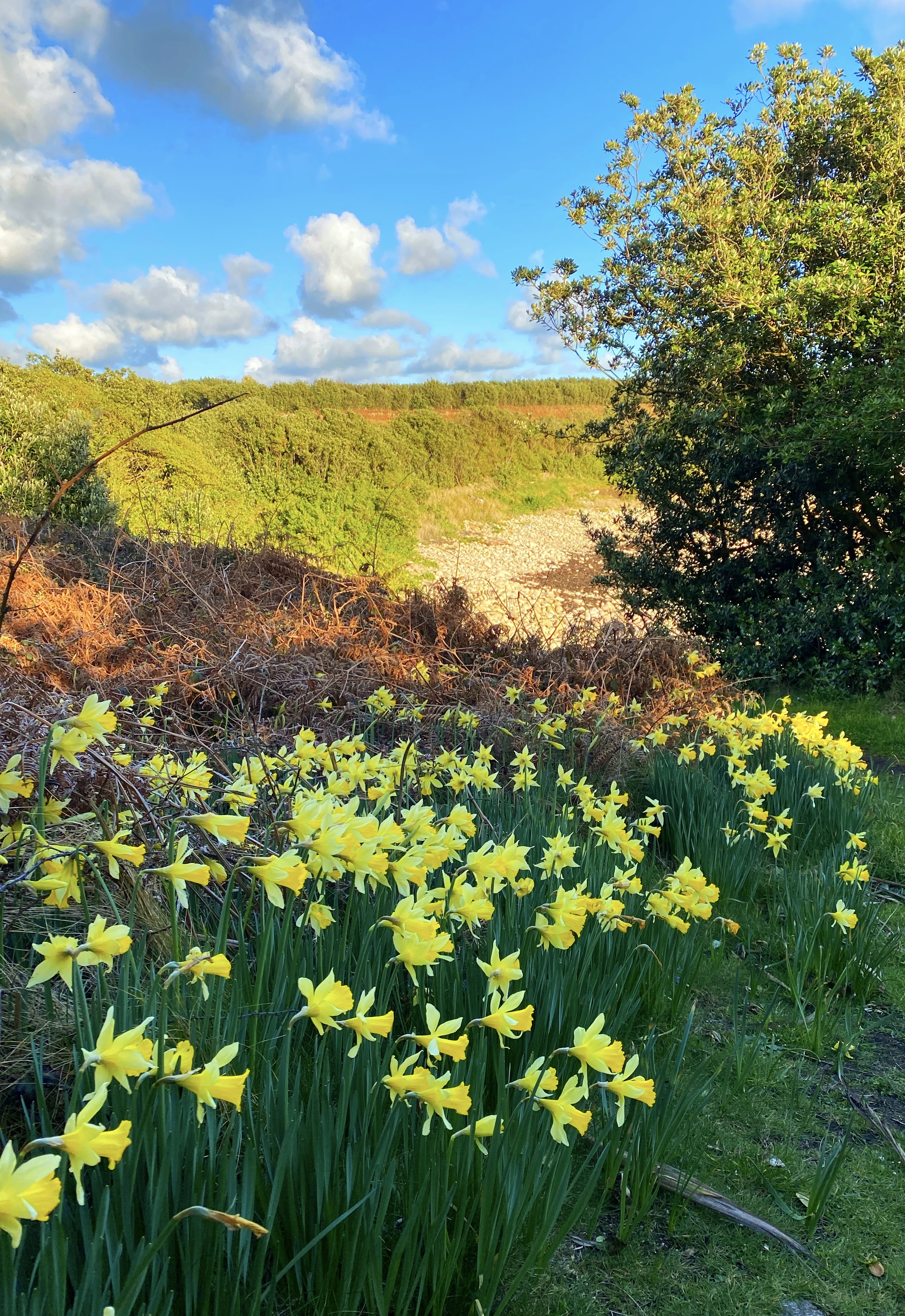Springtime photo 2