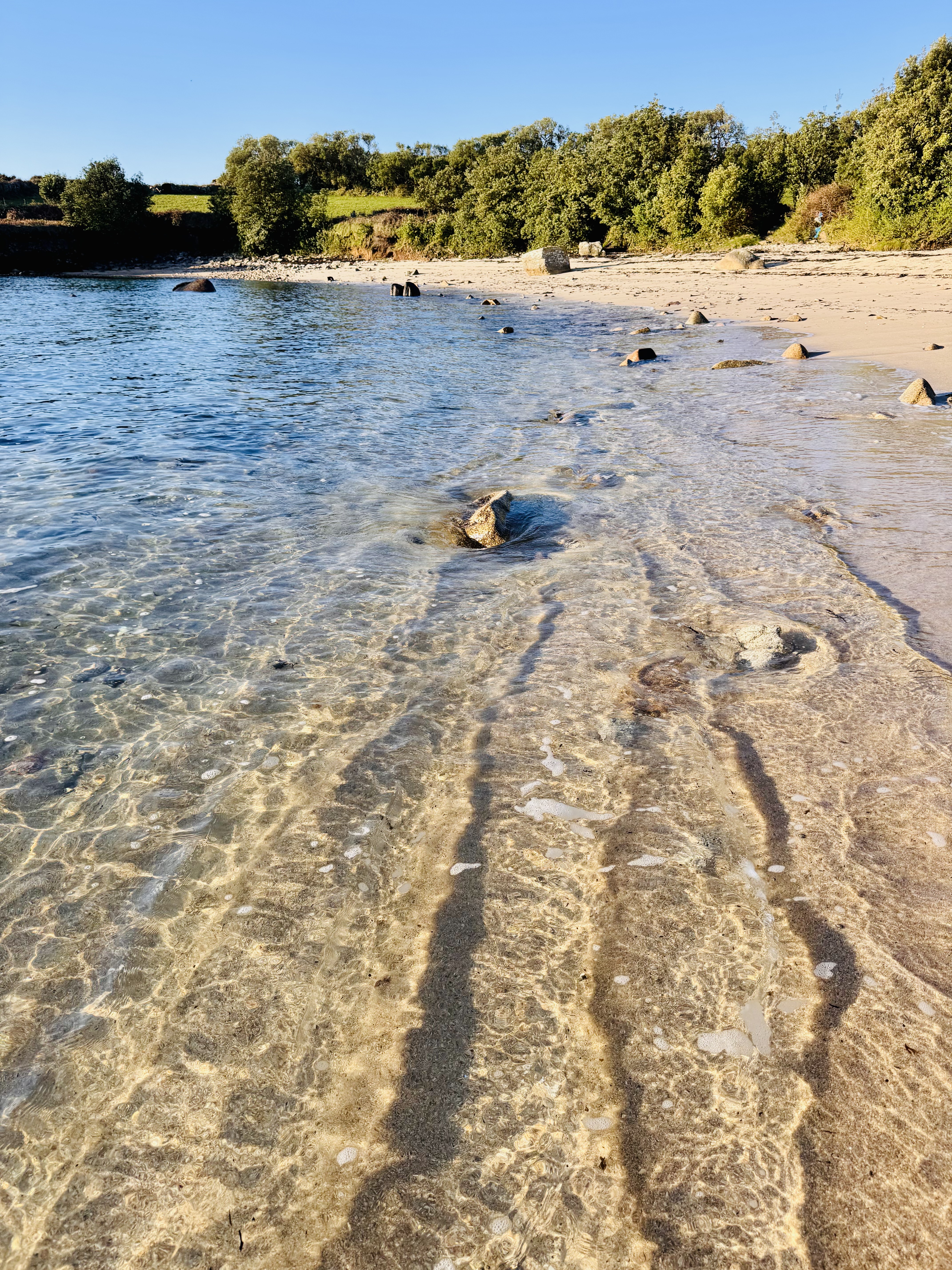 Calm Cove photo 2