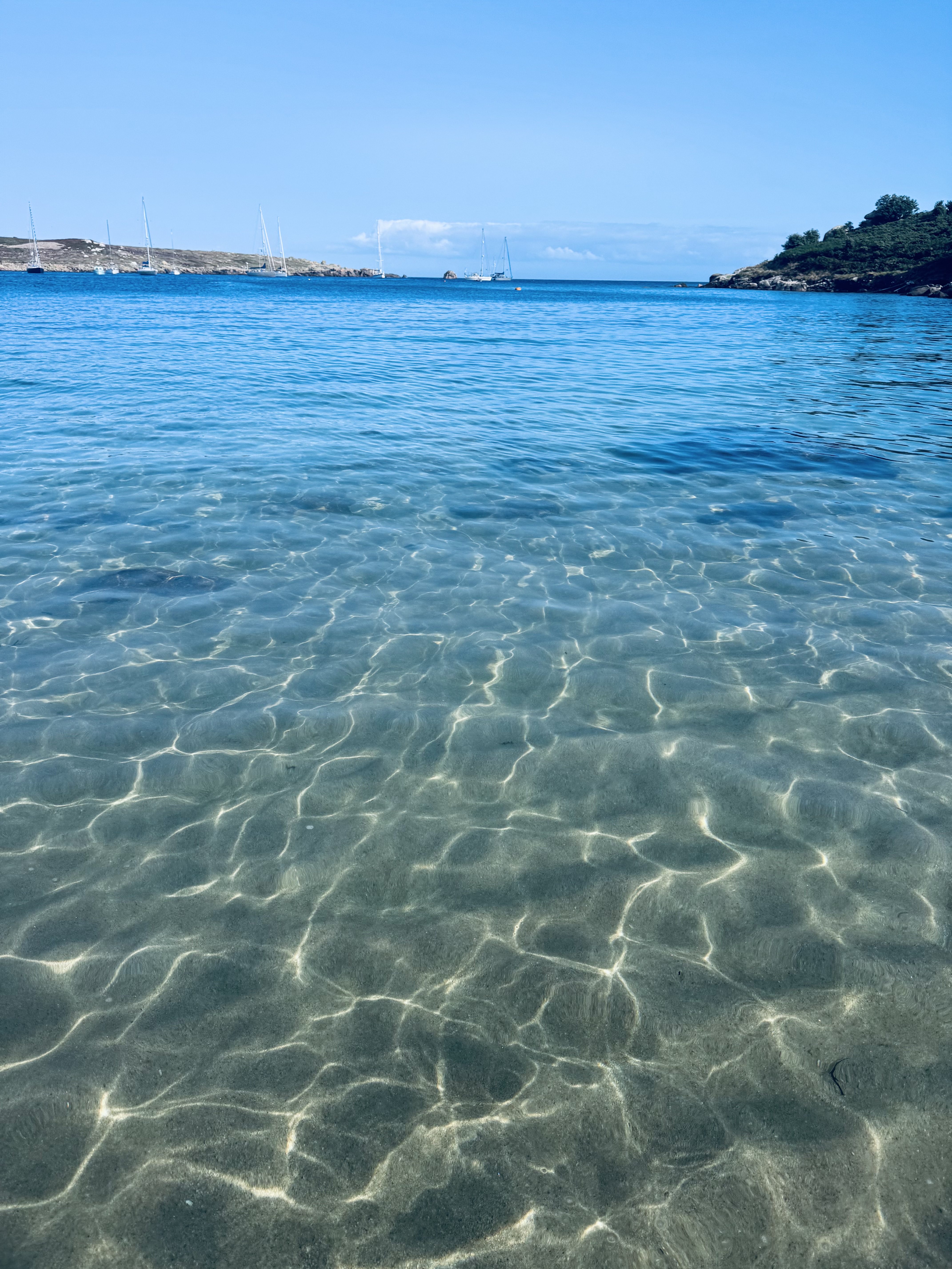 Calm Cove photo 4