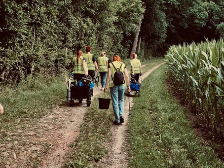 Wer isst eigentlich soviel Mais?!