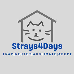 Strays 4 Days logo