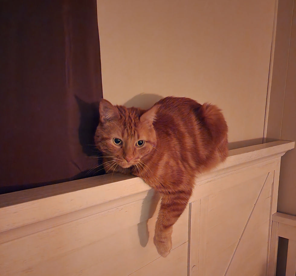 The day our laps felt a little bit colder