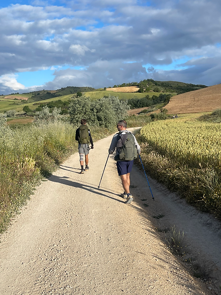 Camino de Santiago Travel Guide