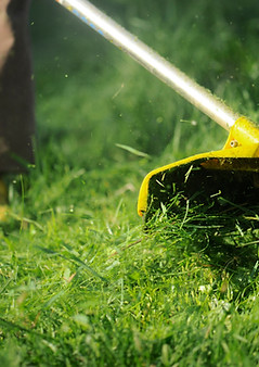 Lawn Trimming Closeup