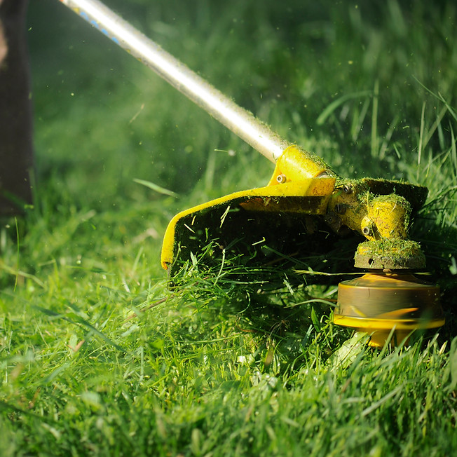 Lawn Trimming Closeup