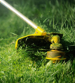 Lawn Trimming Closeup