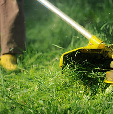 Rasenmähen aus der Nähe