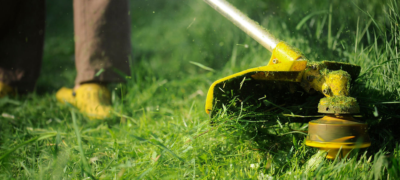 Lawnmower