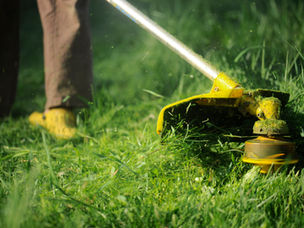 Tips for Spring Lawn Care